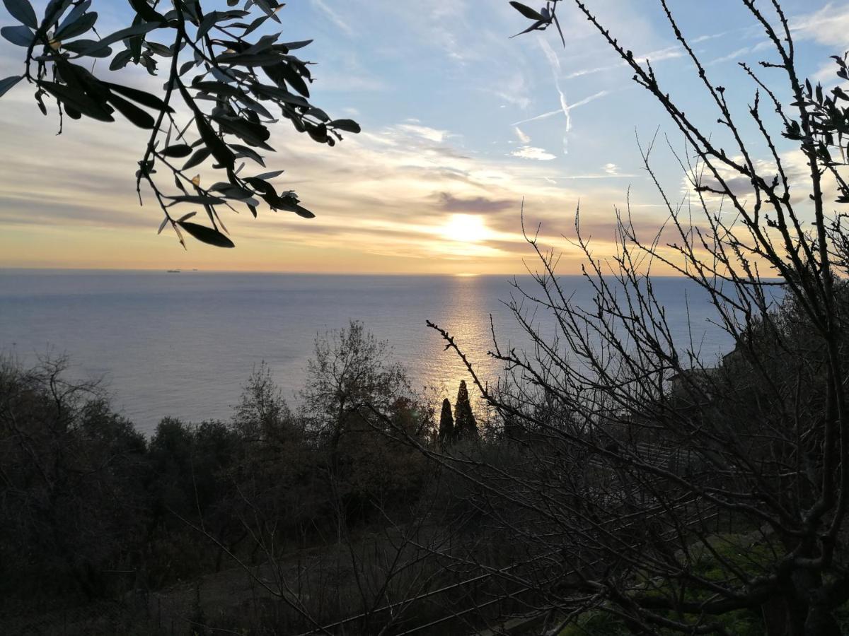 Villa Gio - Terrazza Nel Blu Bergeggi Zewnętrze zdjęcie